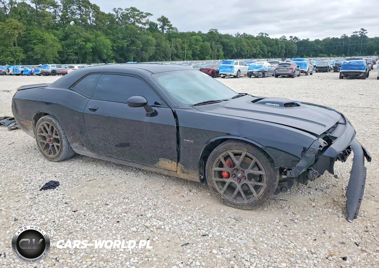 2018 Dodge Challenger R VIN:2C3CDZBT1JH144705 - 4