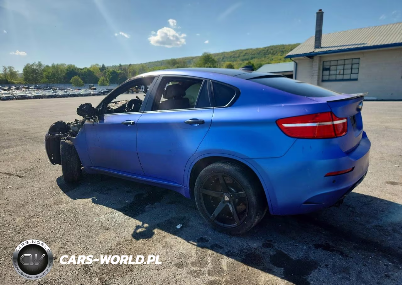 2010 BMW X6 M VIN:5YMGZ0C51ALK13221 - 2