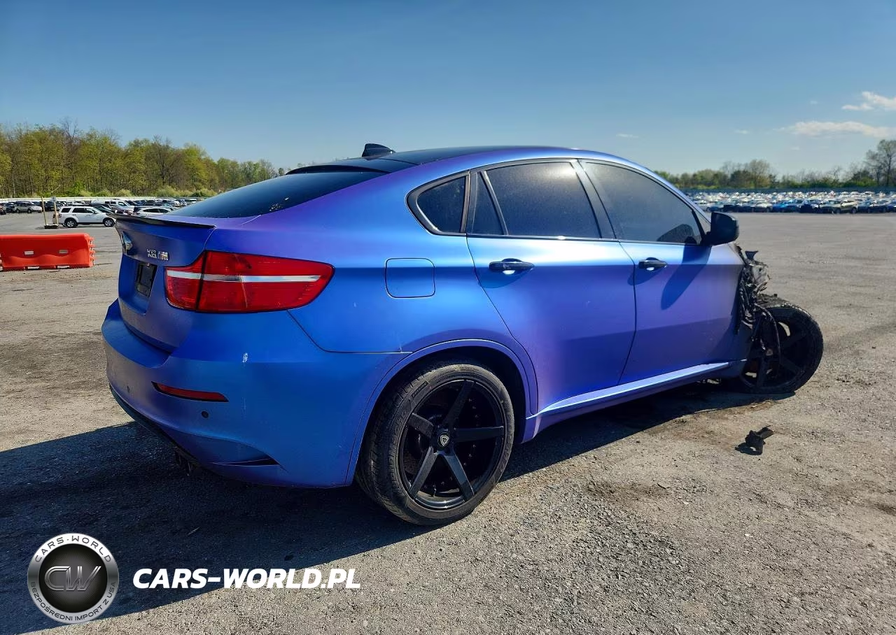 2010 BMW X6 M VIN:5YMGZ0C51ALK13221 - 3