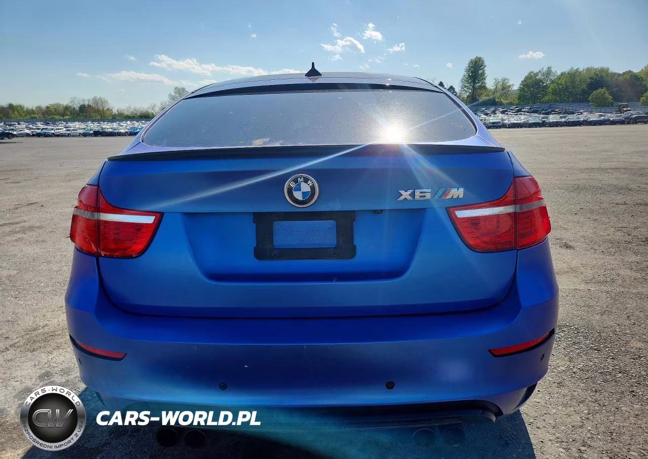 2010 BMW X6 M VIN:5YMGZ0C51ALK13221 - 6