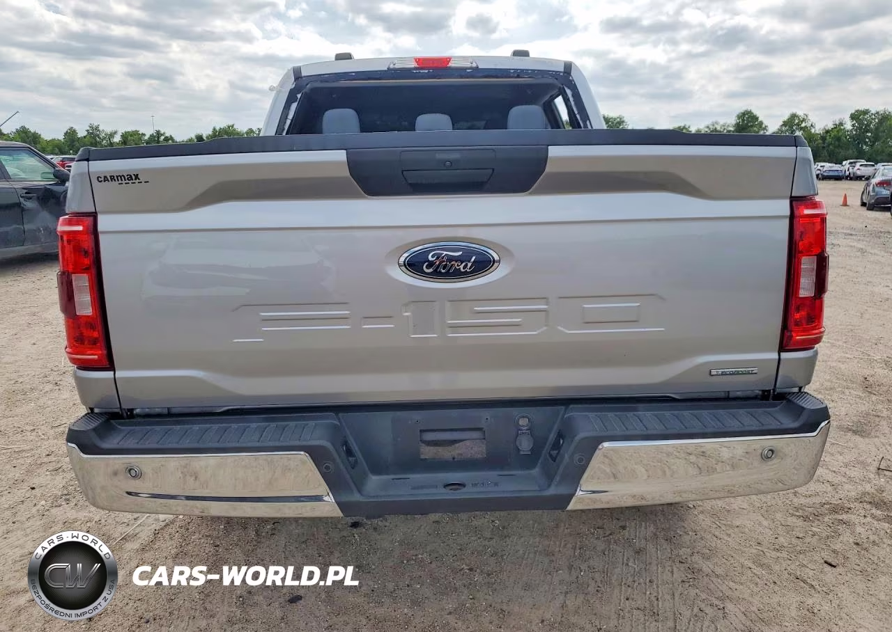 2023 Ford F-150 King Ranch-Lariat-Platinum-Xl-Xlt VIN:1FTEW1C82PKD44164 - 6