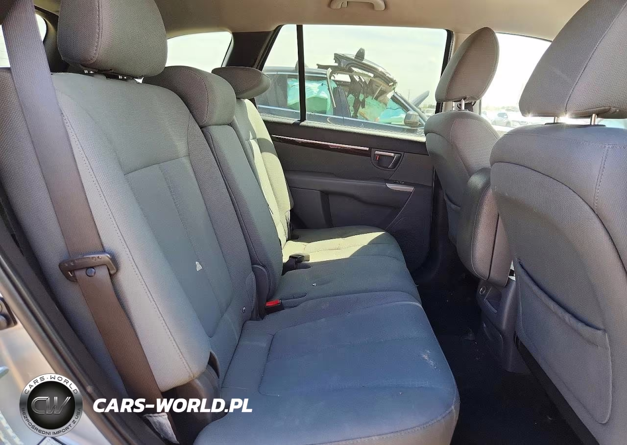 2010 Hyundai Santa Fe Gls VIN:5NMSGDAB5AH366646 - 11