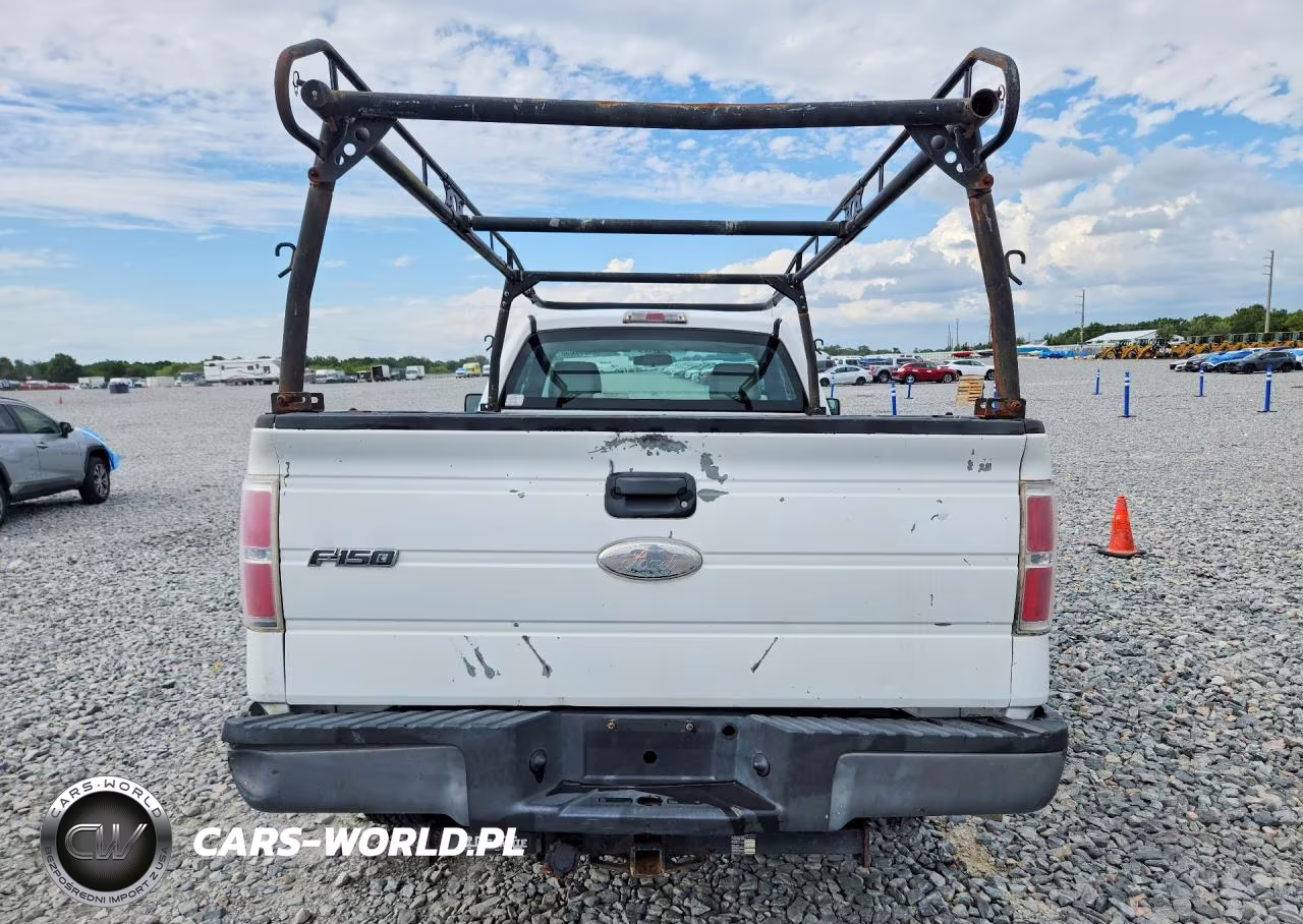 2010 Ford F150 VIN:1FTMF1CW5AKA16495 - 6