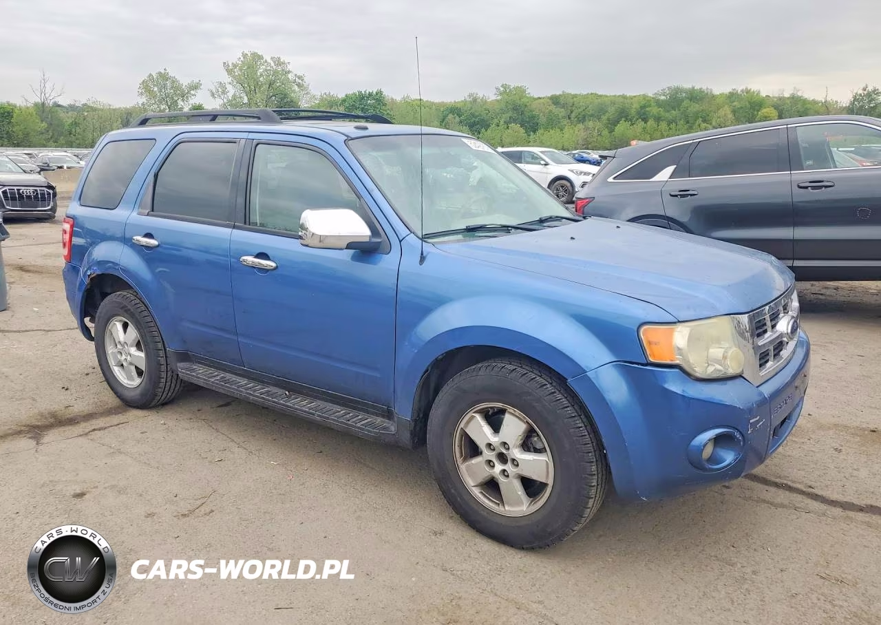 2009 Ford Escape Xlt VIN:1FMCU93G19KA07339 - 4