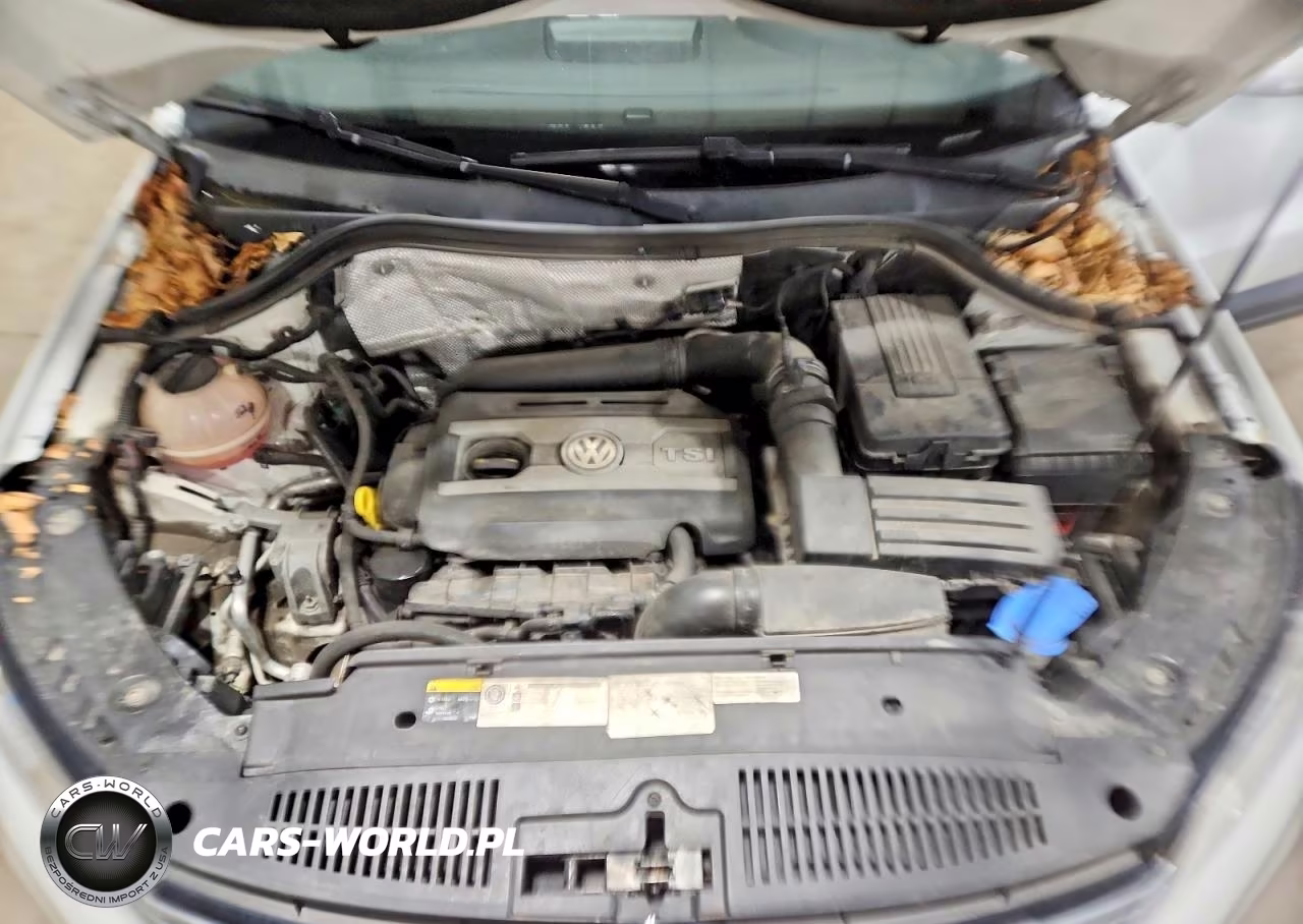 2017 Volkswagen Tiguan S VIN:WVGAV7AX1HK026631 - 12