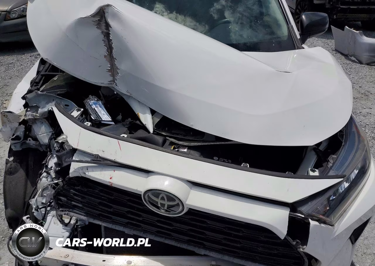 2019 Toyota Rav4 Le VIN:JTMH1RFV6KJ004493 - 12