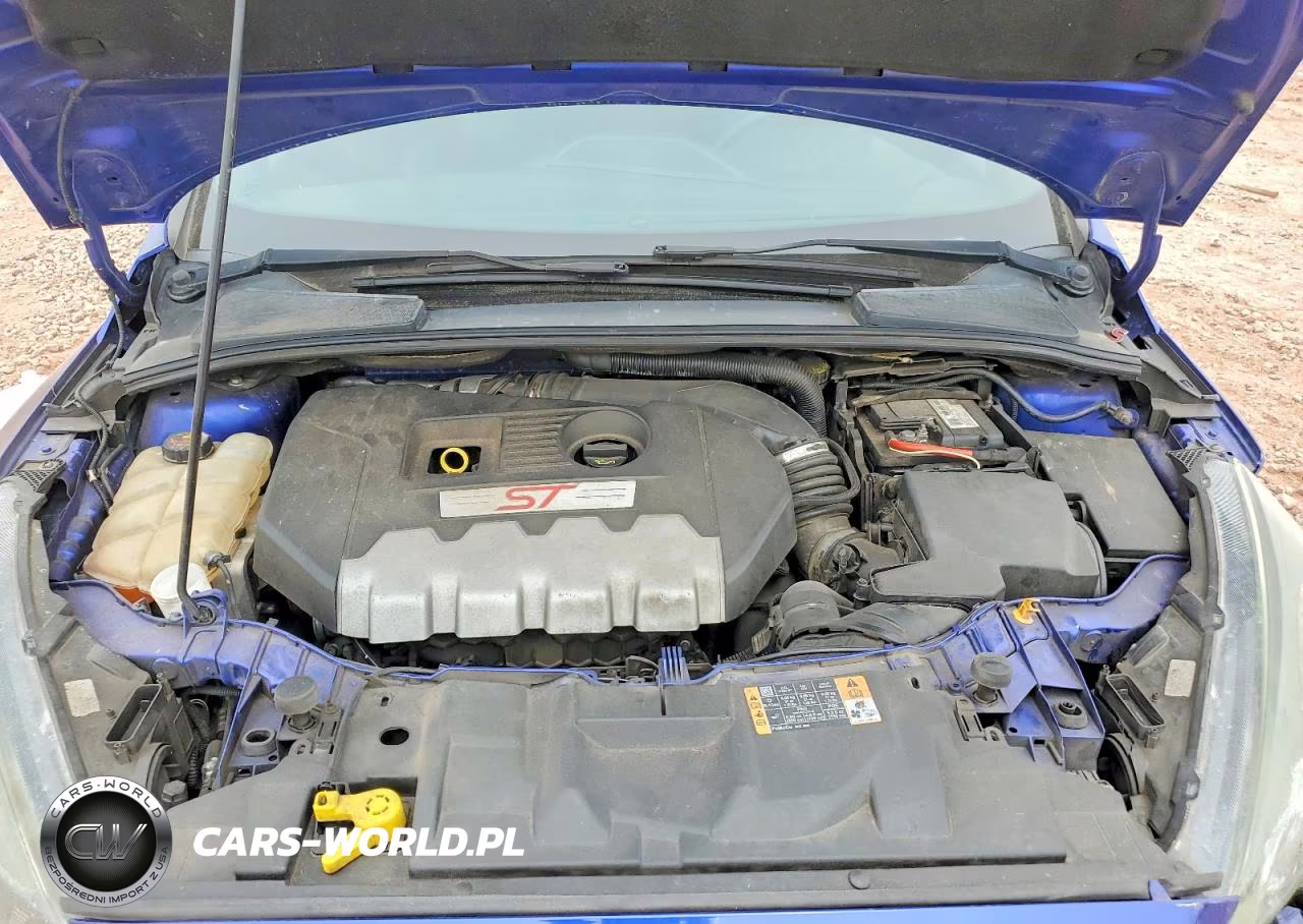 2015 Ford Focus St VIN:1FADP3L91FL315217 - 11