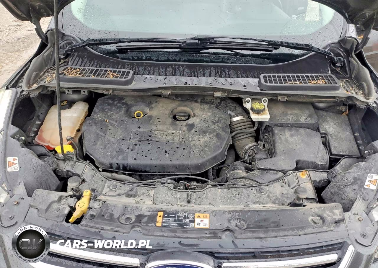 2016 Ford Escape Titanium VIN:1FMCU0J97GUC10916 - 12