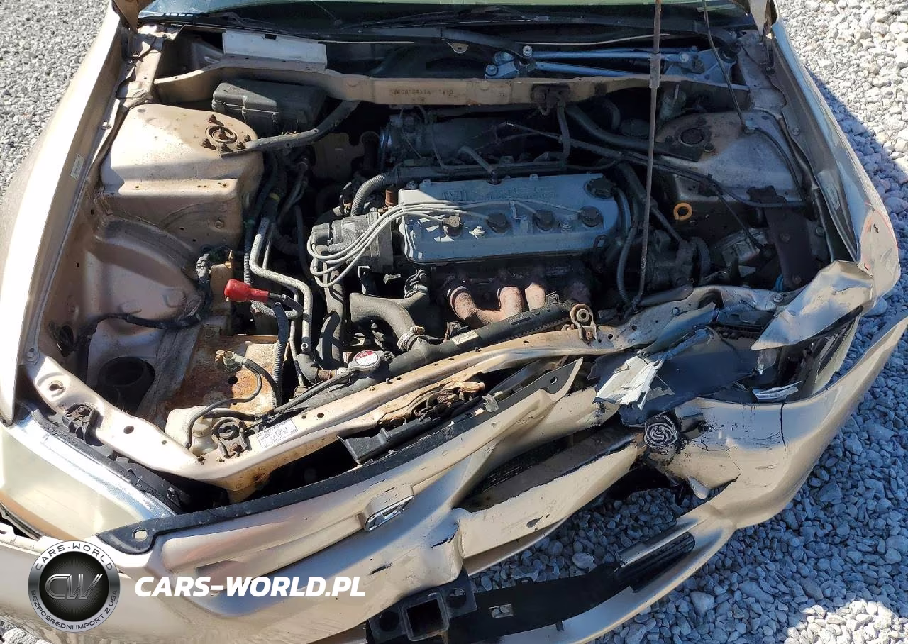 2001 Honda Accord Lx VIN:1HGCG554X1A017810 - 11