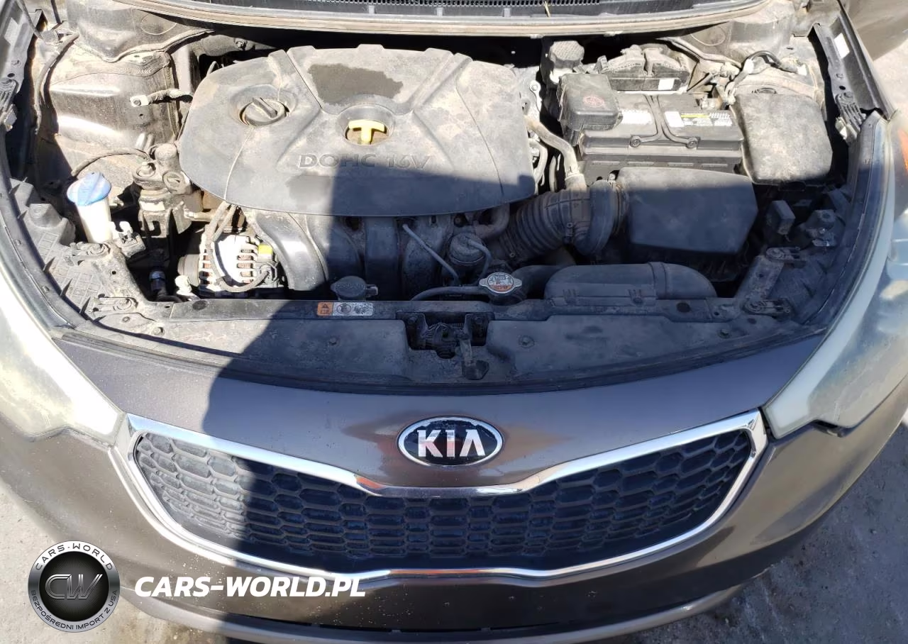 2014 Kia Forte Lx VIN:KNAFX4A68E5147772 - 11