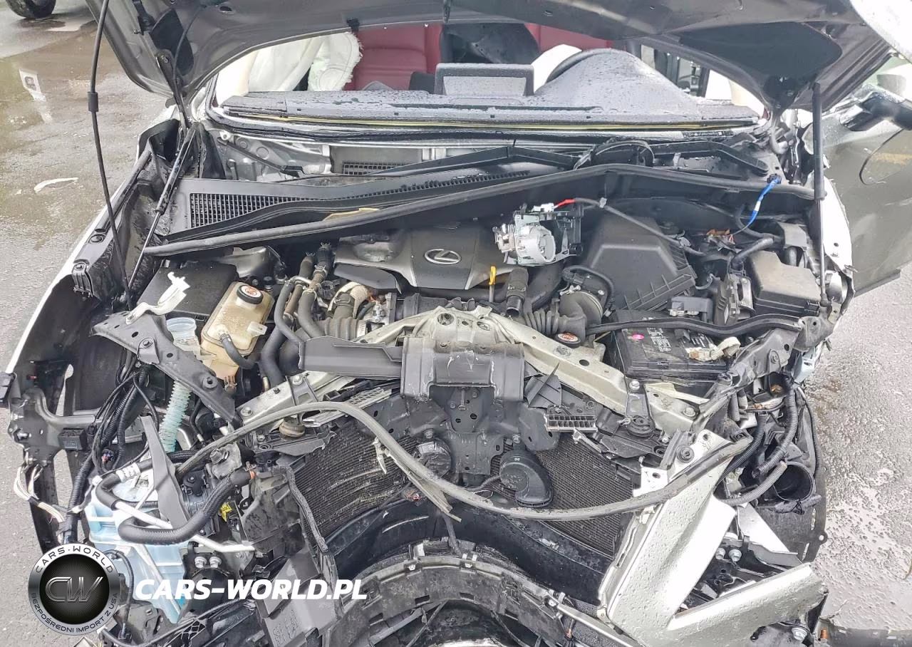 2021 Lexus Nx 300 Base VIN:JTJDARDZ7M2245509 - 11