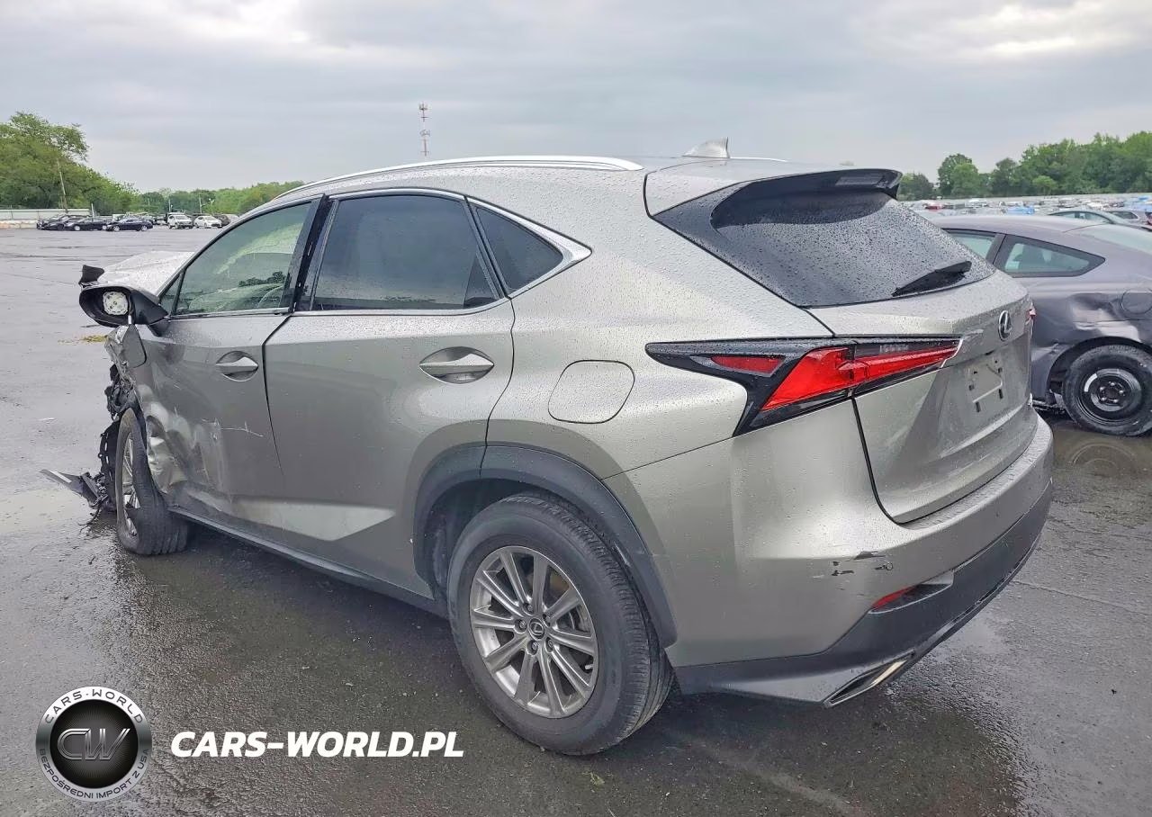 2021 Lexus Nx 300 Base VIN:JTJDARDZ7M2245509 - 2