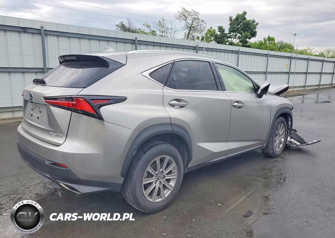 2021 Lexus Nx 300 Base VIN:JTJDARDZ7M2245509 - 3