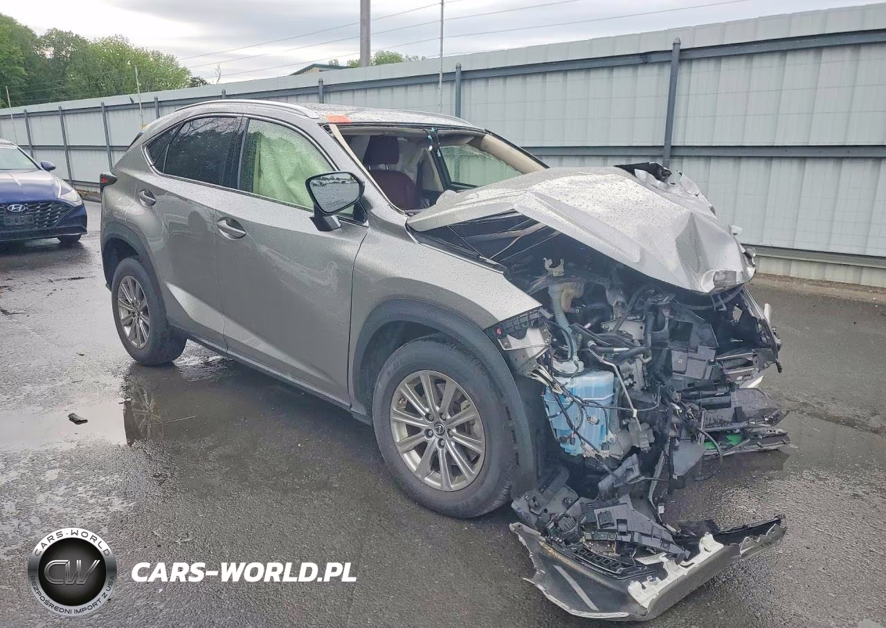 2021 Lexus Nx 300 Base VIN:JTJDARDZ7M2245509 - 4