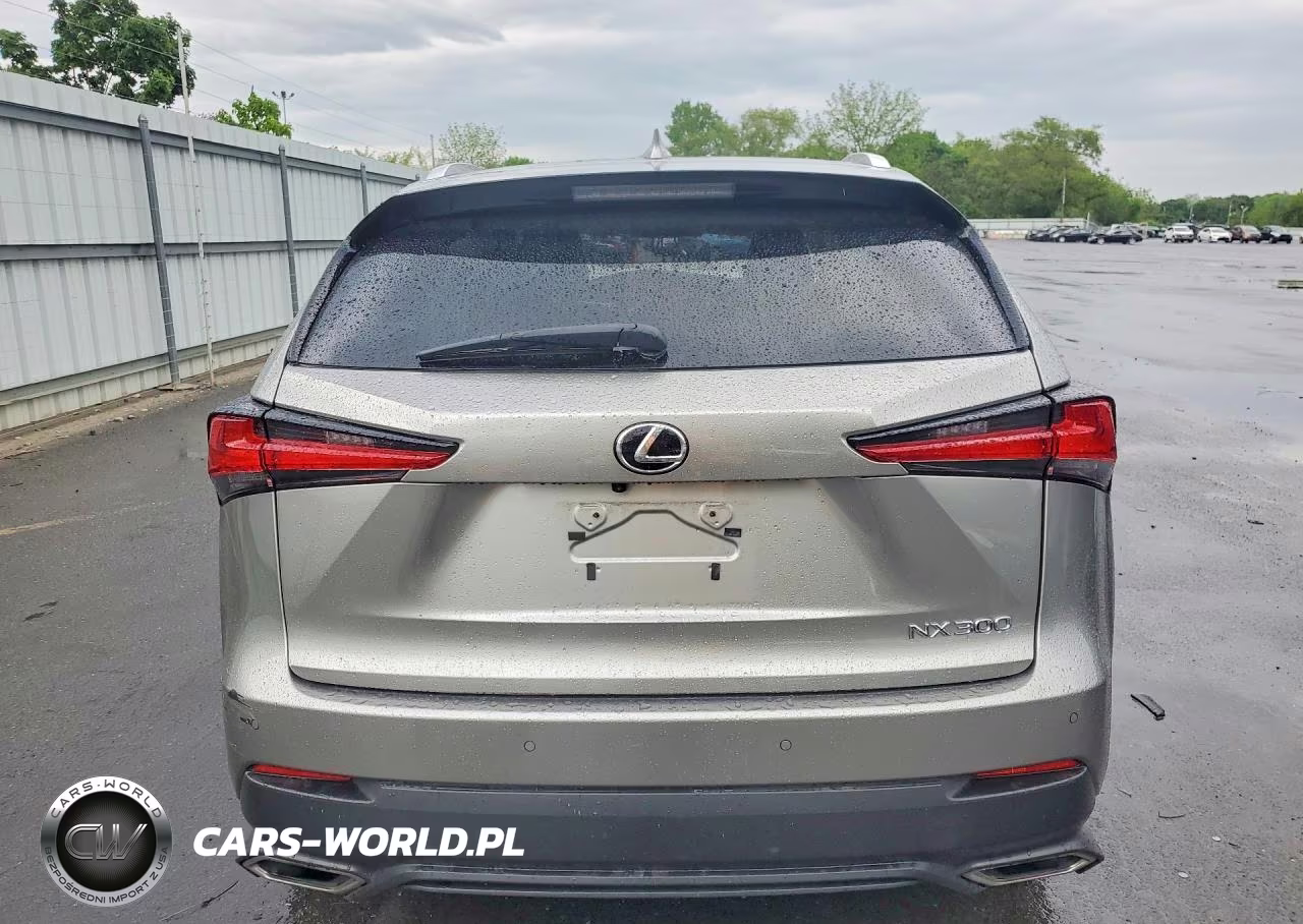 2021 Lexus Nx 300 Base VIN:JTJDARDZ7M2245509 - 6