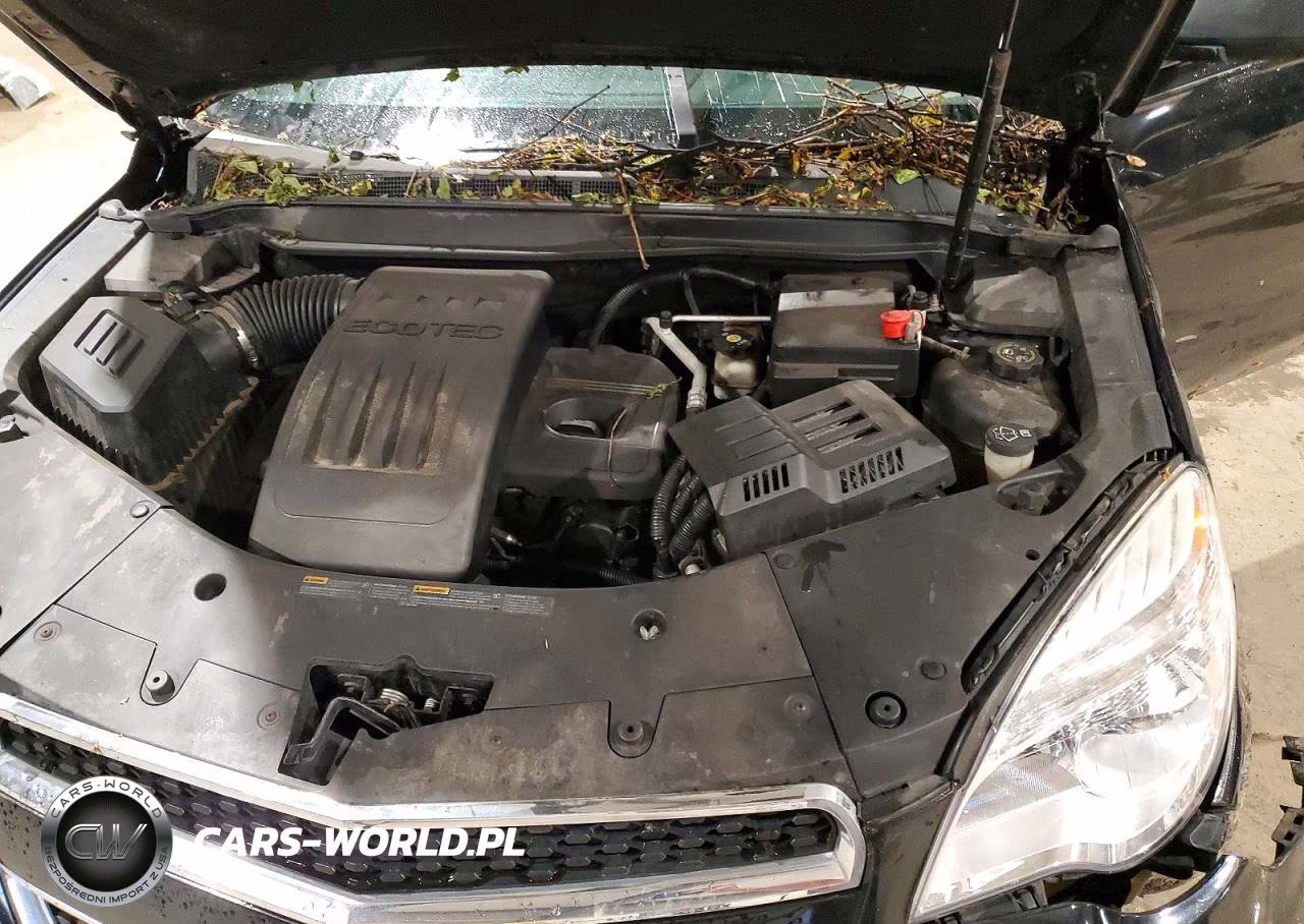 2010 Chevrolet Equinox Ls VIN:2CNALBEW2A6210687 - 12