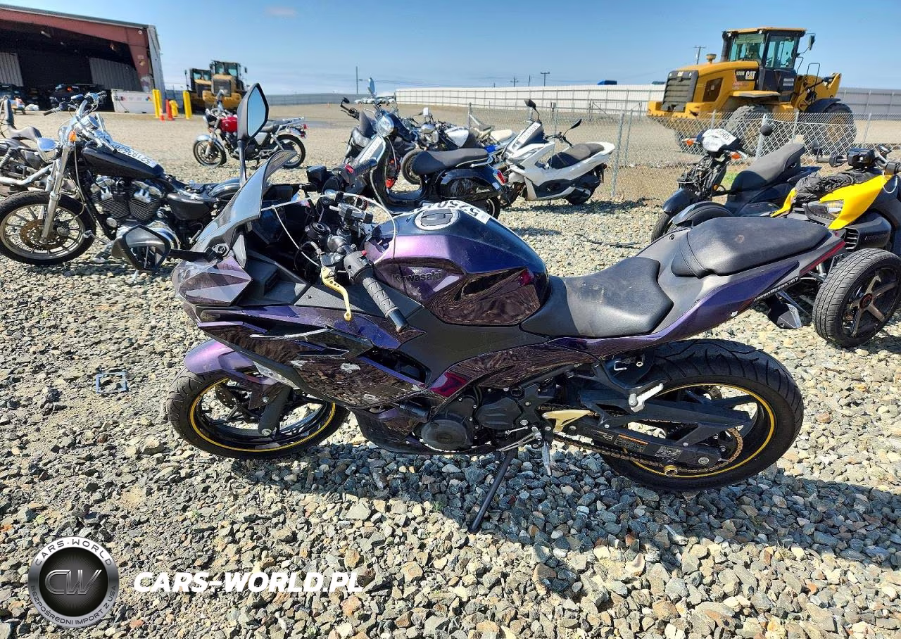 2025 Kawasaki Ex500 H VIN:ML5EXGH16SDA34010 - 3
