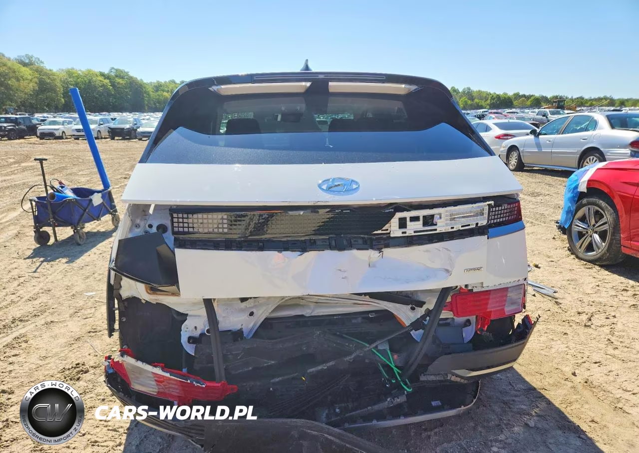 2024 Hyundai Ioniq 5 Sel VIN:KM8KNDDFXRU246667 - 6