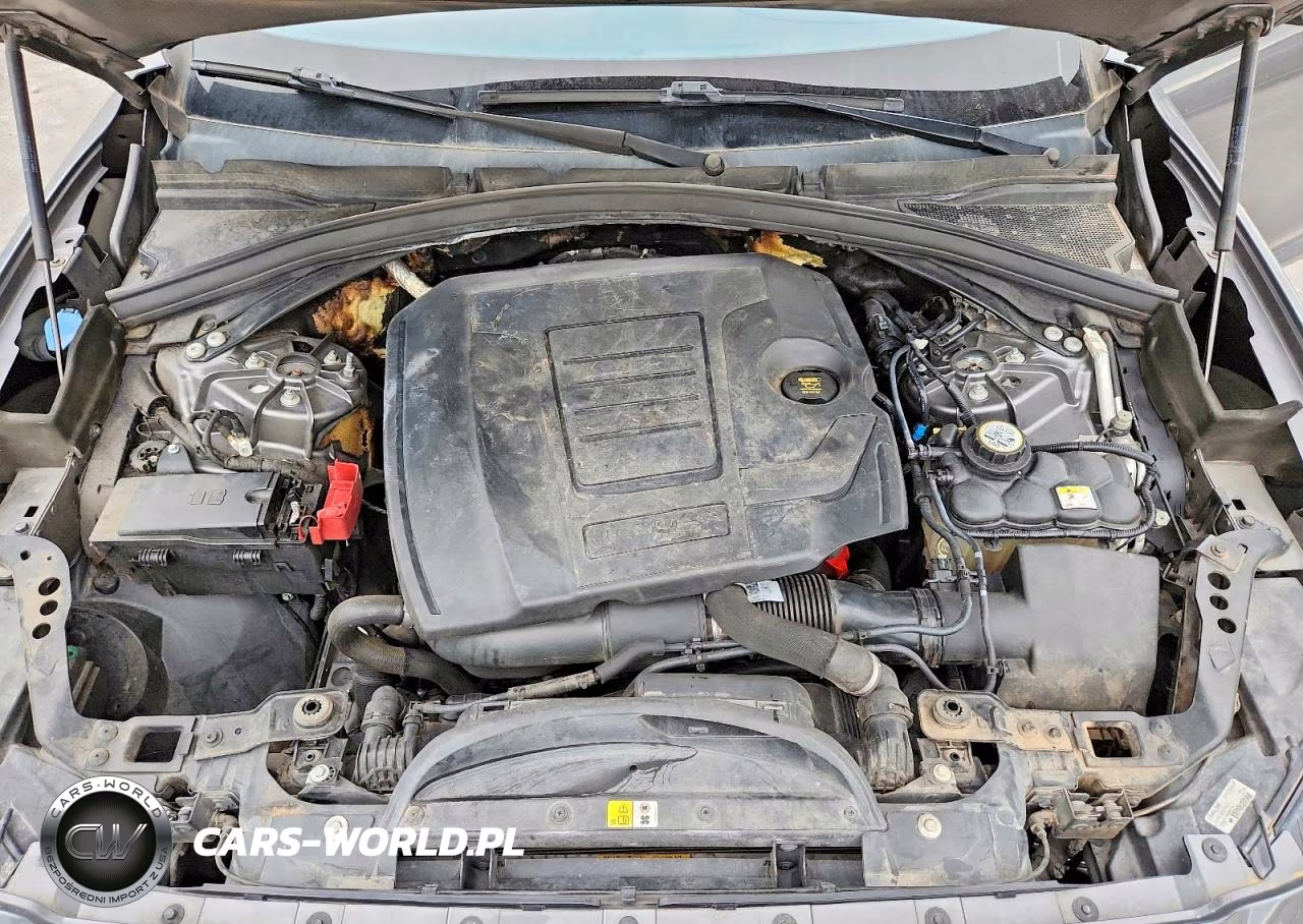 2019 Jaguar F-Pace Premium VIN:SADCJ2FX1KA356100 - 12