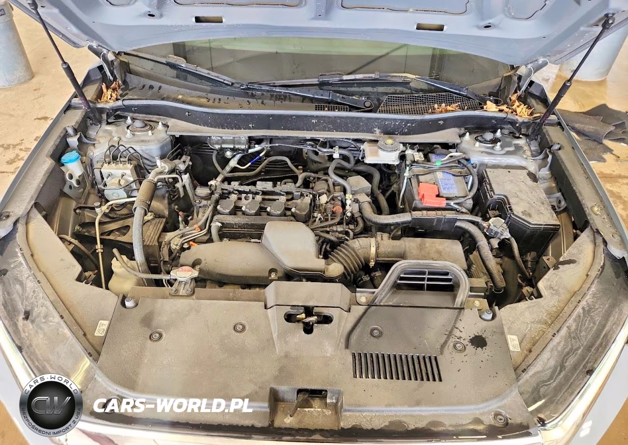 2024 Honda Cr-V Lx VIN:2HKRS4H23RH436579 - 11