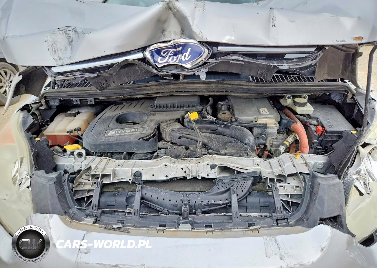 2013 Ford C-Max Sel VIN:1FADP5BU6DL545480 - 12