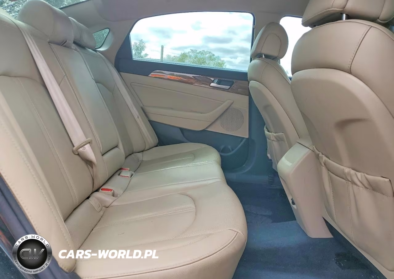 2015 Hyundai Sonata Eco VIN:5NPE24AA3FH111071 - 10