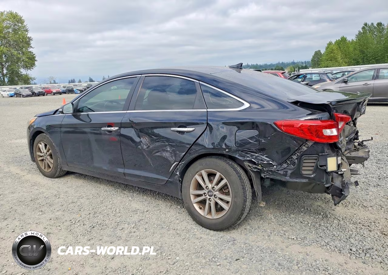 2015 Hyundai Sonata Eco VIN:5NPE24AA3FH111071 - 2