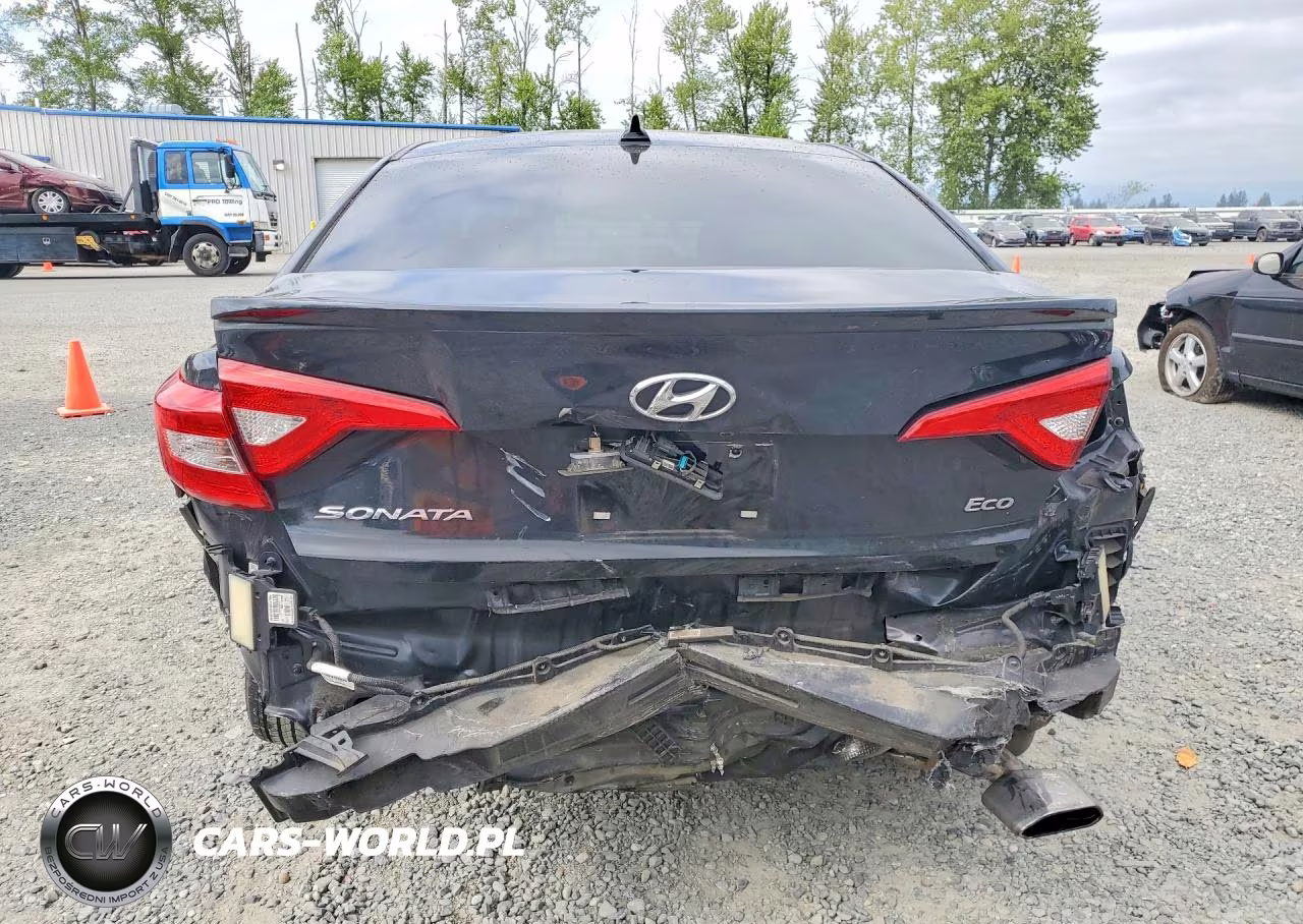 2015 Hyundai Sonata Eco VIN:5NPE24AA3FH111071 - 6