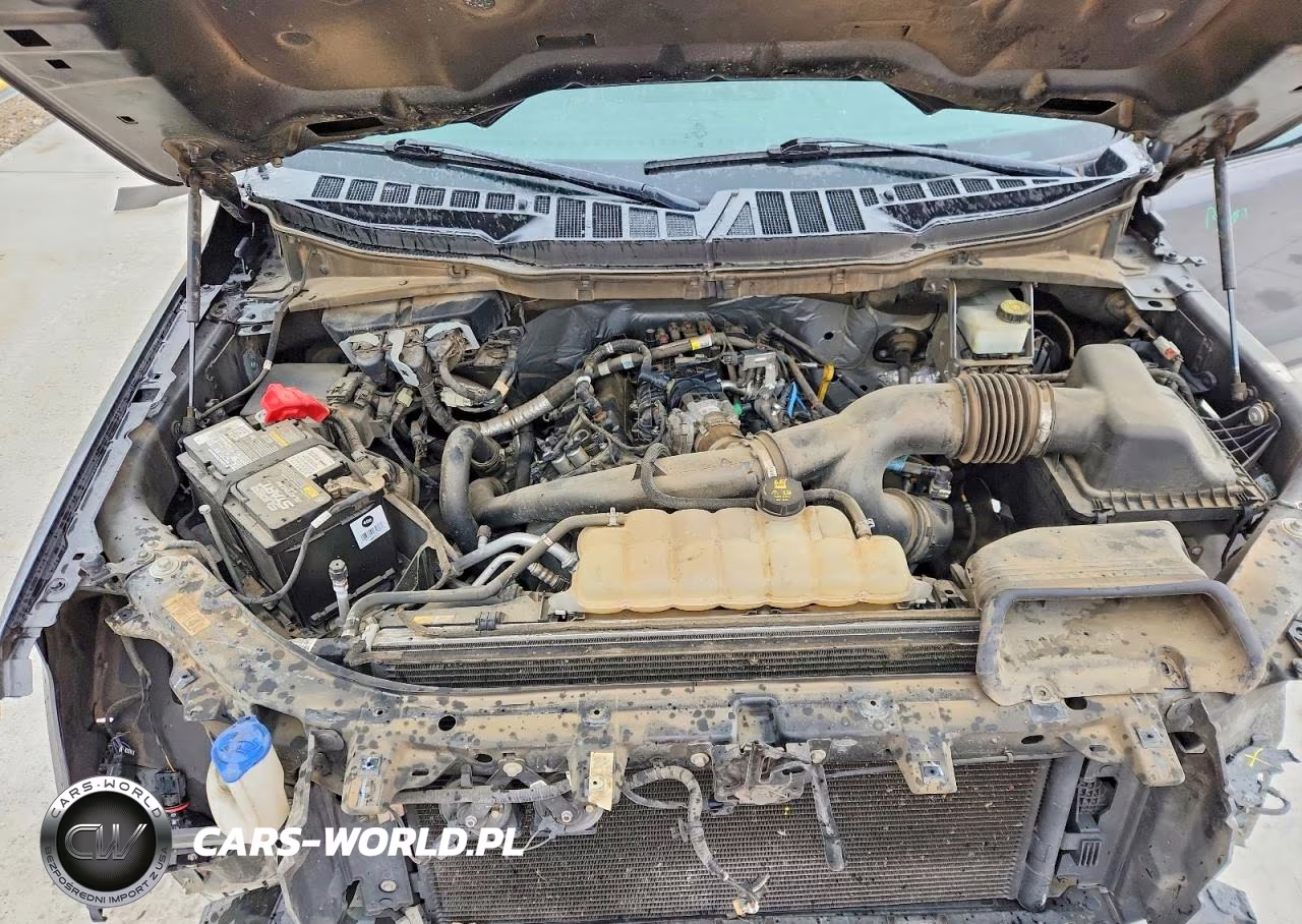 2021 Ford F150 Supercrew VIN:1FTEW1CPXMFC03614 - 11