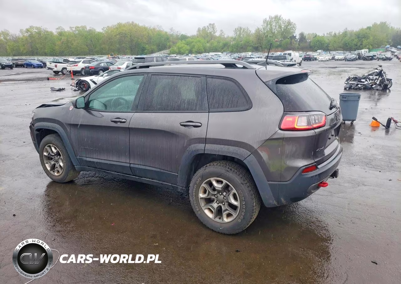 2019 Jeep Cherokee Trailhawk VIN:1C4PJMBXXKD118551 - 2