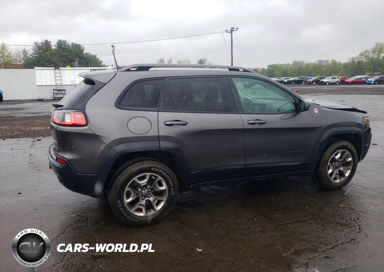 2019 Jeep Cherokee Trailhawk VIN:1C4PJMBXXKD118551 - 3
