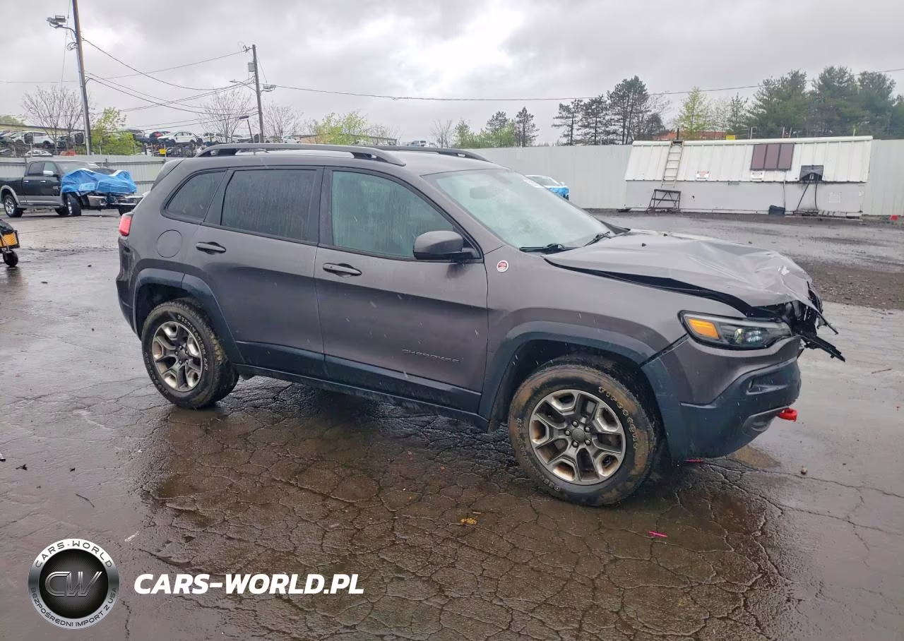 2019 Jeep Cherokee Trailhawk VIN:1C4PJMBXXKD118551 - 4