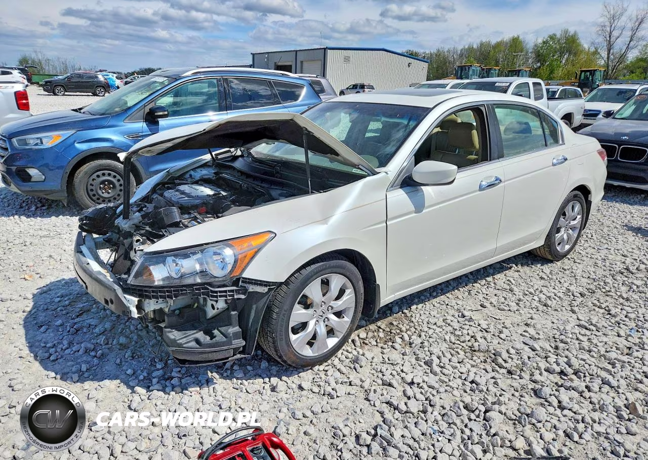 2010 Honda Accord Exl