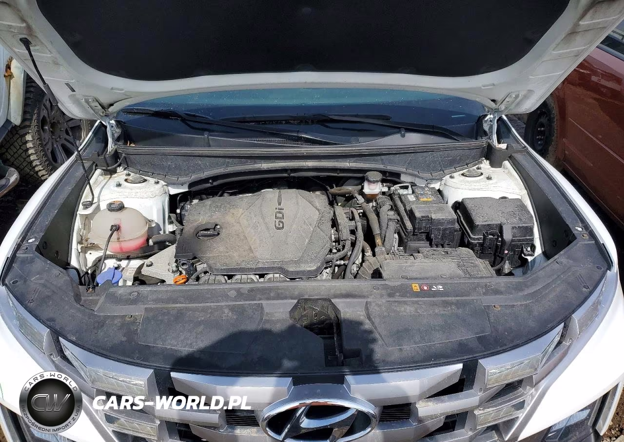 2022 Hyundai Santa Cruz Sel VIN:5NTJCDAEXNH038330 - 11