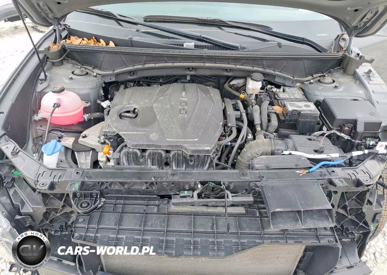 2024 Hyundai Tucson Sel VIN:5NMJB3DE1RH424029 - 12