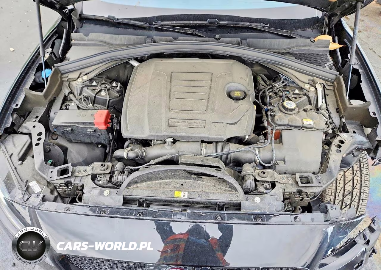 2020 Jaguar F-Pace Checkered Flag VIN:SADCP2FX9LA648481 - 12