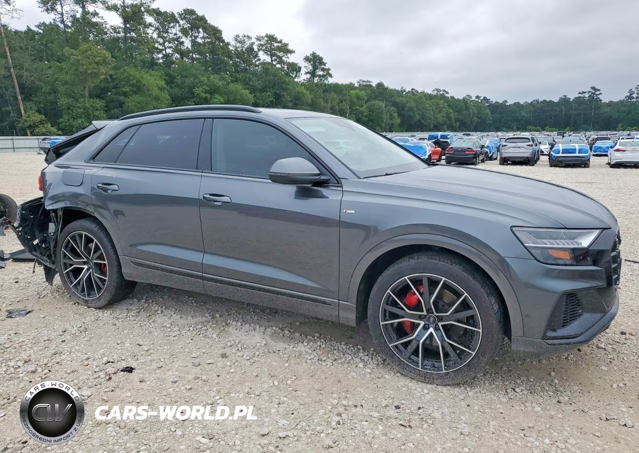 2019 Audi Q8 Premium Plus S-Line VIN:WA1EVAF18KD027126 - 4