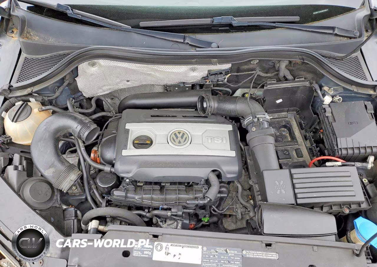 2010 Volkswagen Tiguan Se VIN:WVGBV7AX9AW508542 - 12
