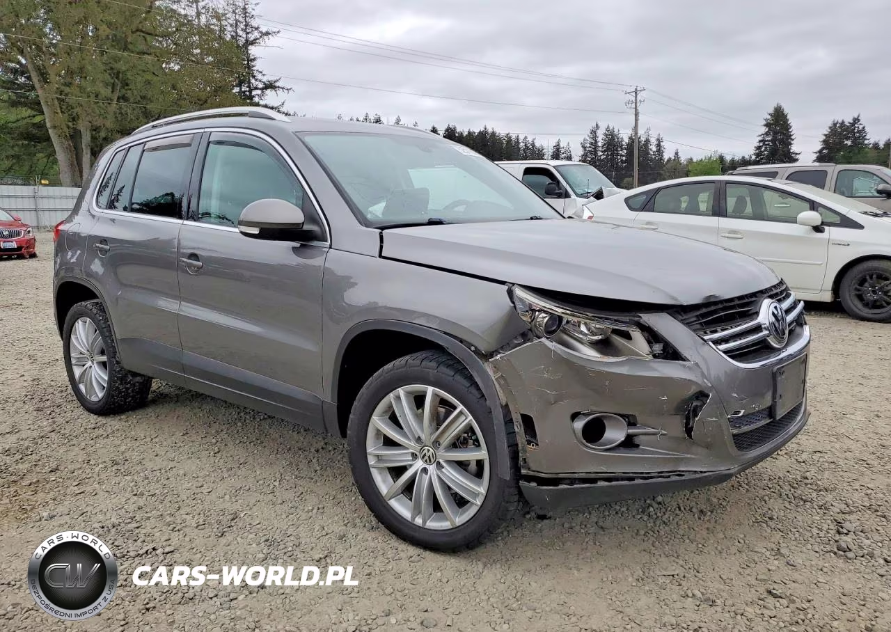 2010 Volkswagen Tiguan Se VIN:WVGBV7AX9AW508542 - 4
