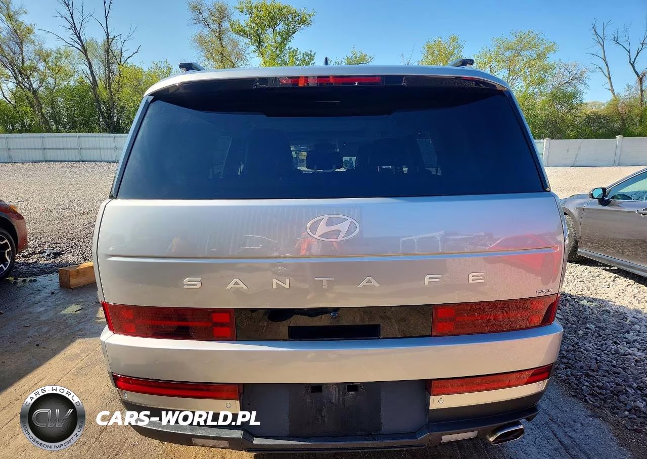 2024 Hyundai Santa Fe Limited VIN:5NMP4DGL8RH001534 - 6