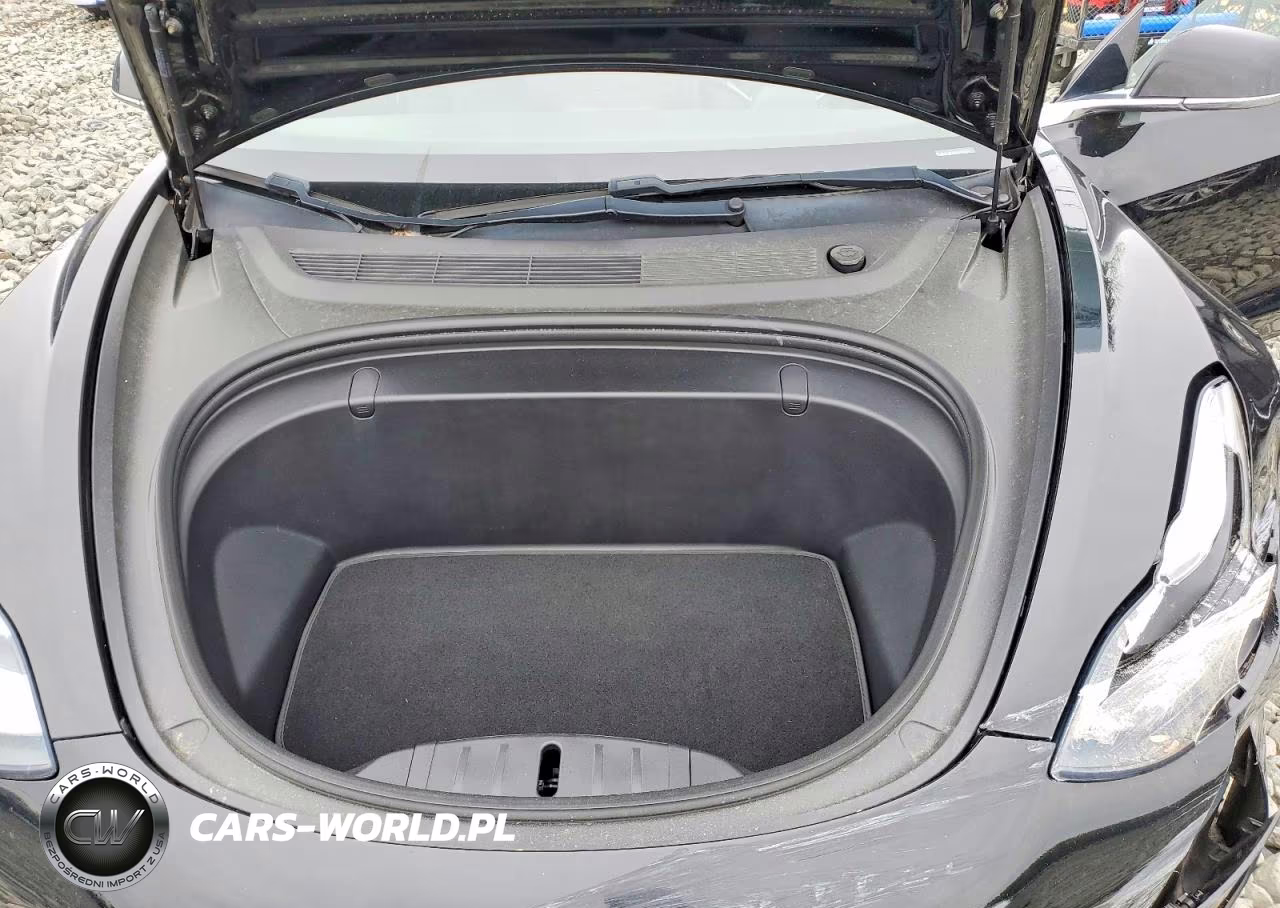 2019 Tesla Model 3 VIN:5YJ3E1EB6KF191233 - 11