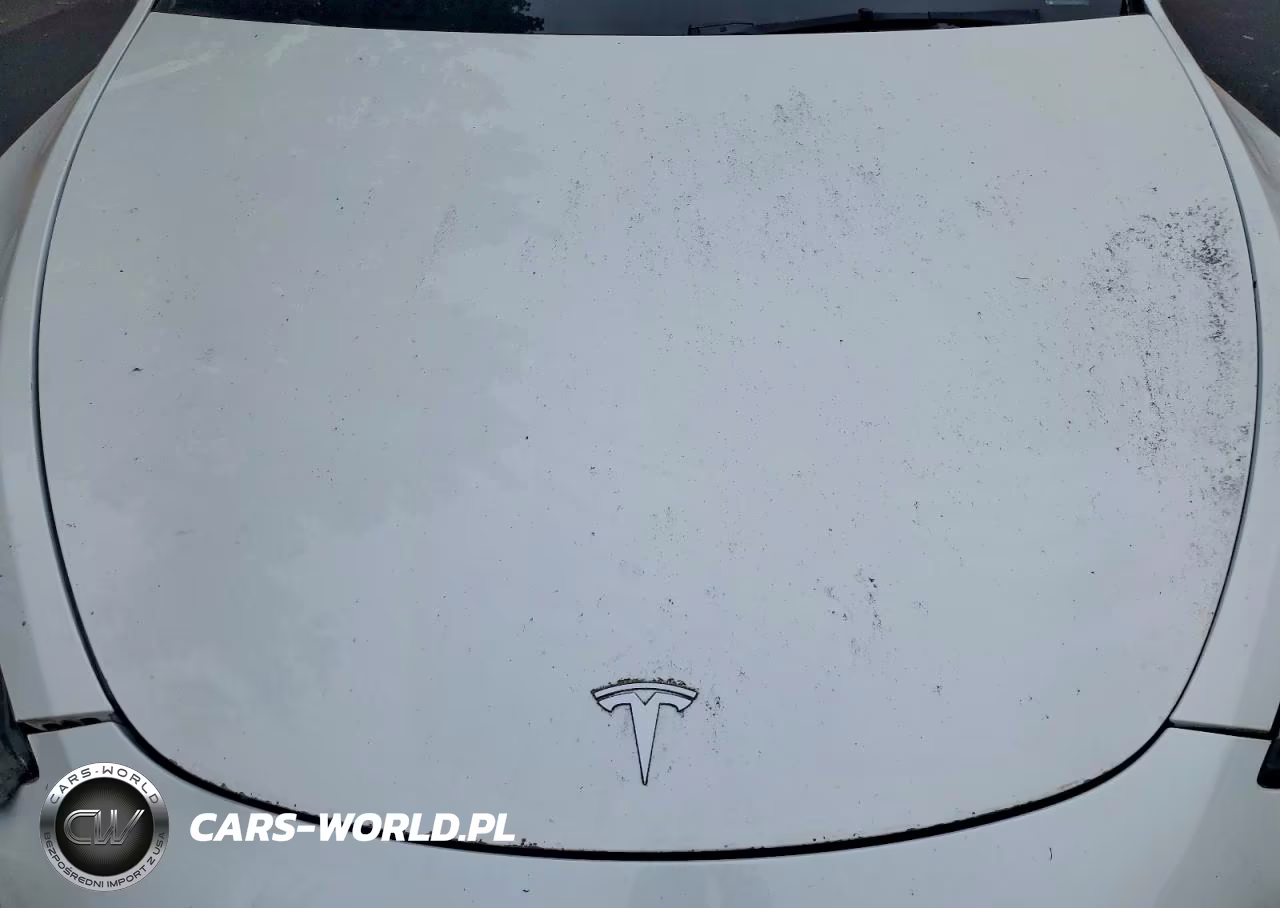 2021 Tesla Model Y VIN:5YJYGDEE2MF181801 - 11