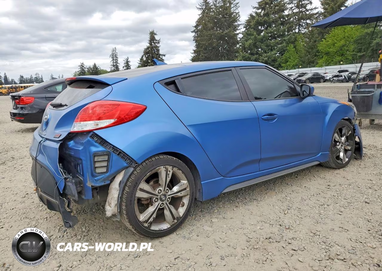 2016 Hyundai Veloster Turbo VIN:KMHTC6AE6GU264663 - 3