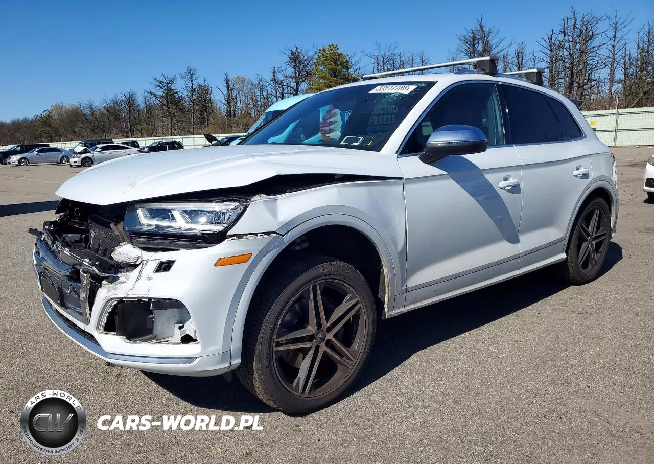 2019 Audi Sq5 Premium Plus – zdjęcie 1 z 13