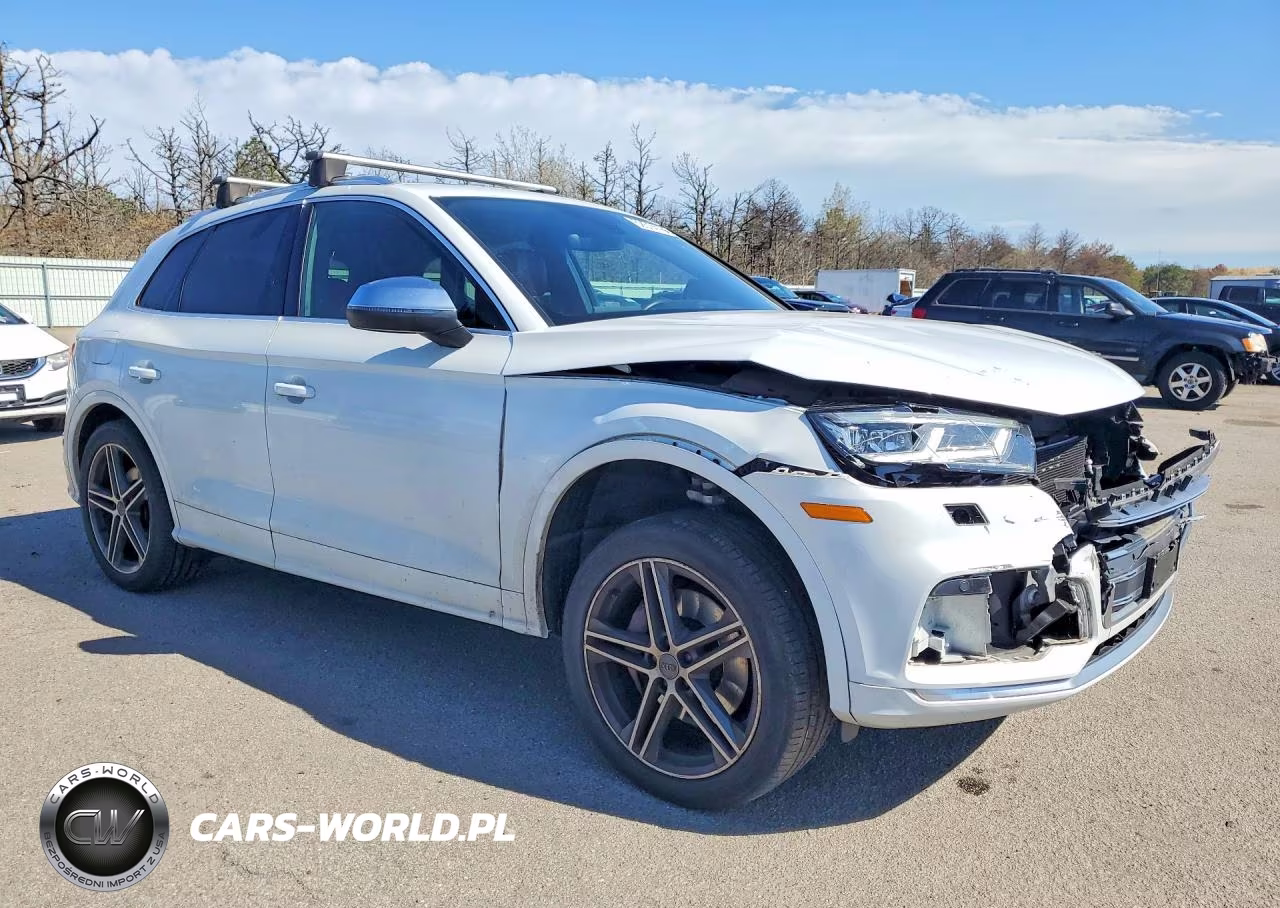2019 Audi Sq5 Premium Plus VIN:WA1B4AFY8K2100137 - 4