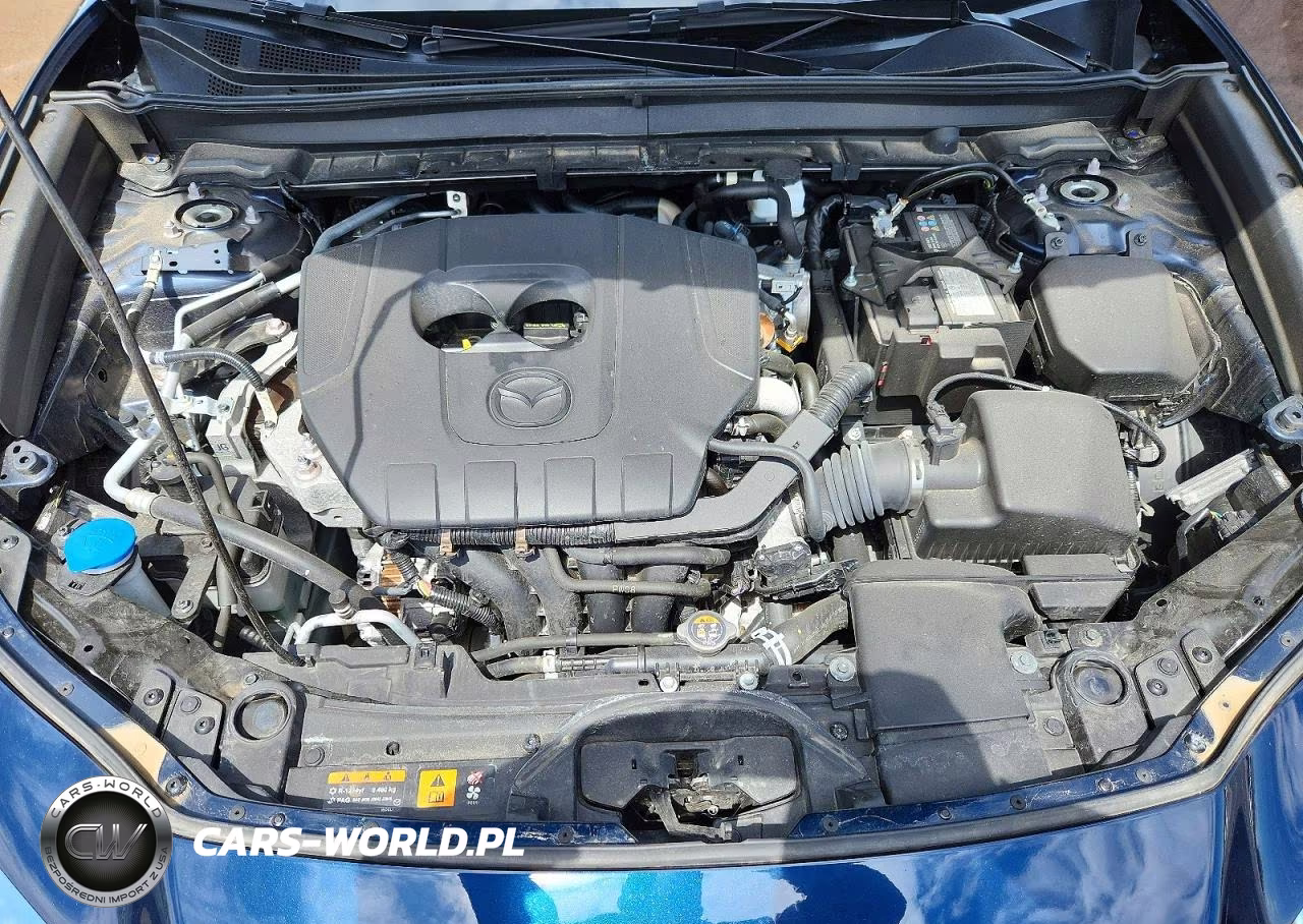 2025 Mazda Cx-30 Premium VIN:3MVDMBDMXSM773460 - 12