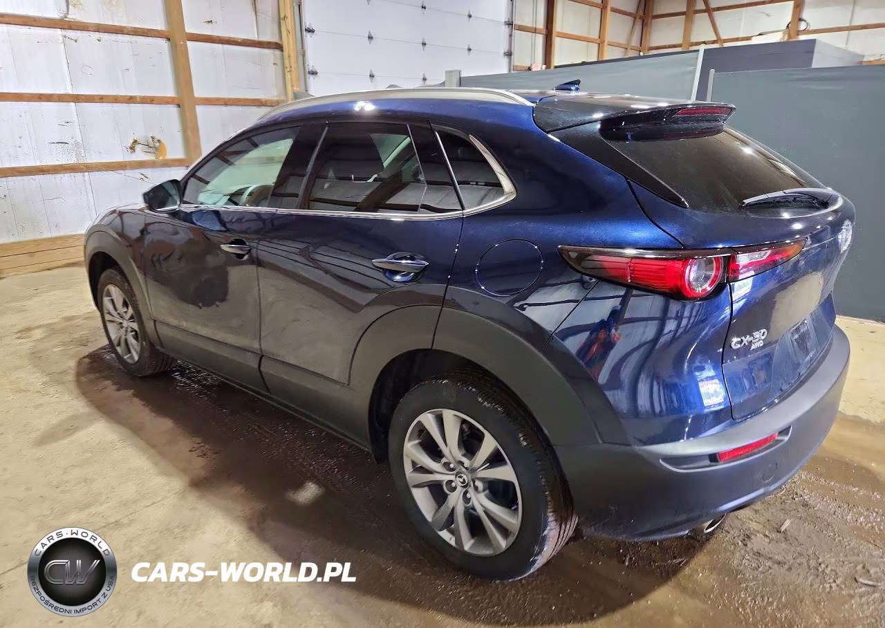 2025 Mazda Cx-30 Premium VIN:3MVDMBDMXSM773460 - 2