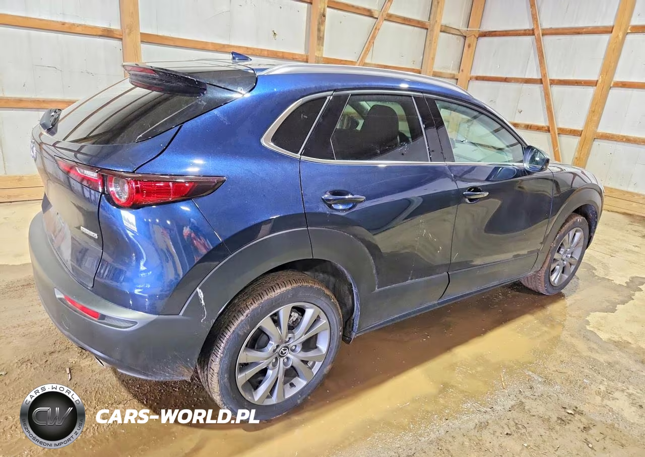 2025 Mazda Cx-30 Premium VIN:3MVDMBDMXSM773460 - 3