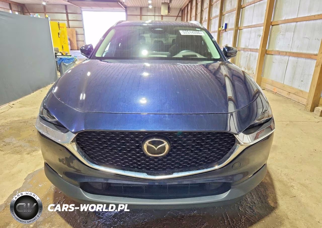 2025 Mazda Cx-30 Premium VIN:3MVDMBDMXSM773460 - 5