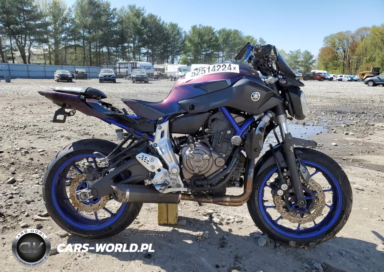 2015 Yamaha Fz07 C